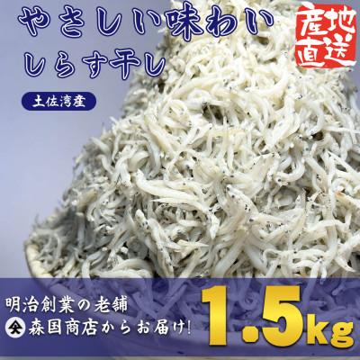 ふるさと納税 南国市 しらす干し(釜揚げちりめん)高知県土佐湾産1.5kg(500g×3袋)新鮮・ふわふわ鮮度抜群!