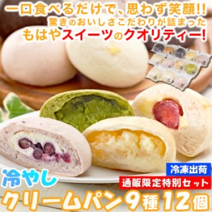 ひんやり美味しい新感覚スイーツ！冷やし クリームパン 9種12個セット 冷凍A