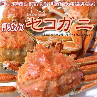 セコガニ 活 北海道産 香箱ガニ せいこ蟹 訳あり 1kg詰 約4-6尾入 身入り7分前後  送料無料 沖縄送料別途加算 御歳暮 クリスマス 正月