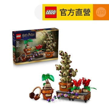 【LEGO樂高】哈利波特系列 76474 霍格華茲藥草學植物(哈利波特 魔蘋果)