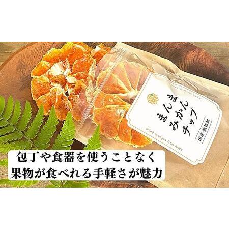 ふるさと納税 ドライフルーツ みかんチップ 100g 20g × 5袋 和歌山県産 果物使用 自社製造  和歌山県有田川町