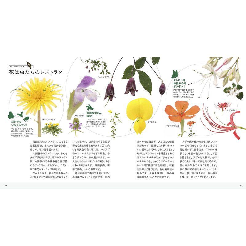 美しき小さな雑草の花図鑑