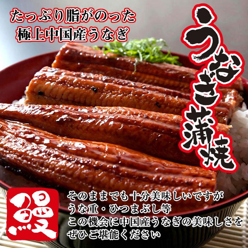 特大 うなぎ 鰻 ウナギ 蒲焼 蒲焼き  中国産うなぎ 蒲焼 2尾 セット (総量：460~540g) ギフト 土用の丑の日 土用丑 お取り寄せ