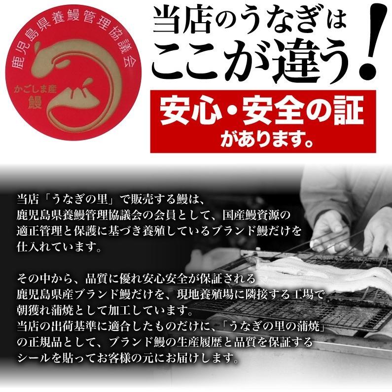 うなぎ 蒲焼き ご家庭用 国産 鹿児島産 長蒲焼き10本セット 約110g×10 タレ山椒付き 送料無料 クール