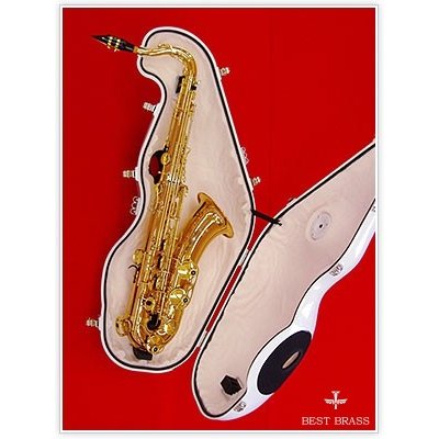 テナーサックス 消音器 BEST BRASS e-sax | www.frostproductsltd.com