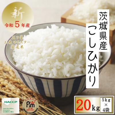 ふるさと納税 牛久市 令和5年産　茨城県産コシヒカリ　精米　20kg(5kg×4袋)