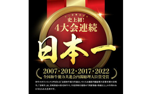 ５等級！宮崎牛ロースステーキ500g 肉 牛 牛肉 国産 黒毛和牛 [E0613]