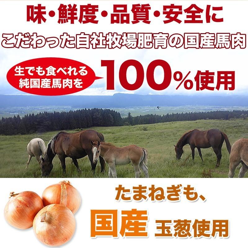 馬刺し 熊本 馬ニラメンチカツ 100g 冷凍