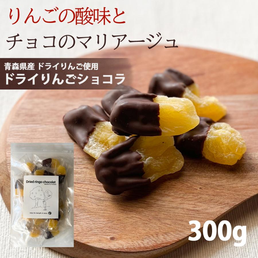 リンゴ ドライフルーツ 国産 ドライ りんご ショコラ 300g チョコ トッピング 専門店 おすすめ 人気 健康効果 食物繊維