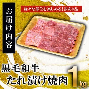 ふるさと納税 鹿児島県産 うしの中山黒毛和牛タレ漬け焼肉1kg b0-172 鹿児島県志布志市