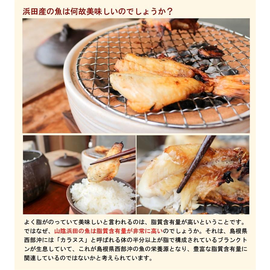 魚 干物 のどぐろ 冷凍 島根県浜田港 干物の河野乾魚店 干物のどぐろ(アカムツ) 小5枚 どんちっち 送料無料