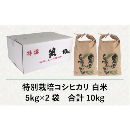 ふるさと納税 福井県 大野市 減農薬・減化学肥料の特別栽培コシヒカリ 白米 10kg（5kg×2）農家直送