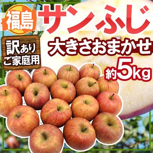 りんご 福島産 ”蜜入りサンふじ” 訳あり 大きさおまかせ 約5kg 送料無料