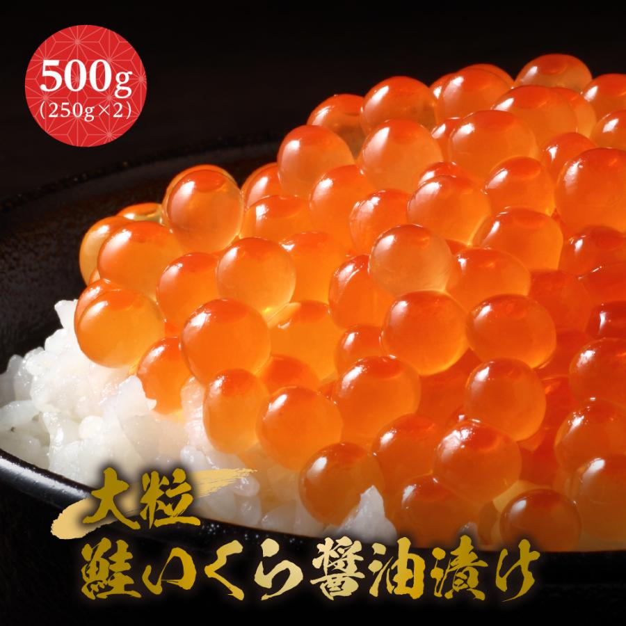 超大粒 鮭いくら醤油漬け 500g（250g×2）醤油イクラ グルメ シャケイクラ 最高級 北海道 海鮮 ご飯のお供 ギフト お取り寄せグルメ 贈り物