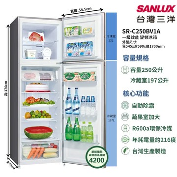 【SANLUX 台灣三洋】SR-C250BV1A