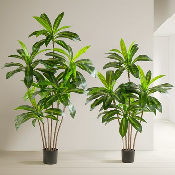 ?快速出貨? 公司貨 大型落地仿真綠植高級感巴西木盆栽家居室內裝飾仿真樹龍血樹植物