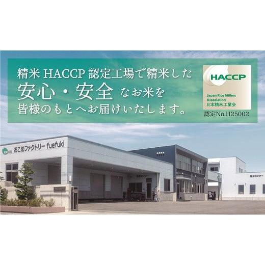 ふるさと納税 山梨県 笛吹市 山梨県産 武川米 こしひかり 無菌パック ご飯 150g×24食分（計3.6kg） 小分け レトルト ご飯パック