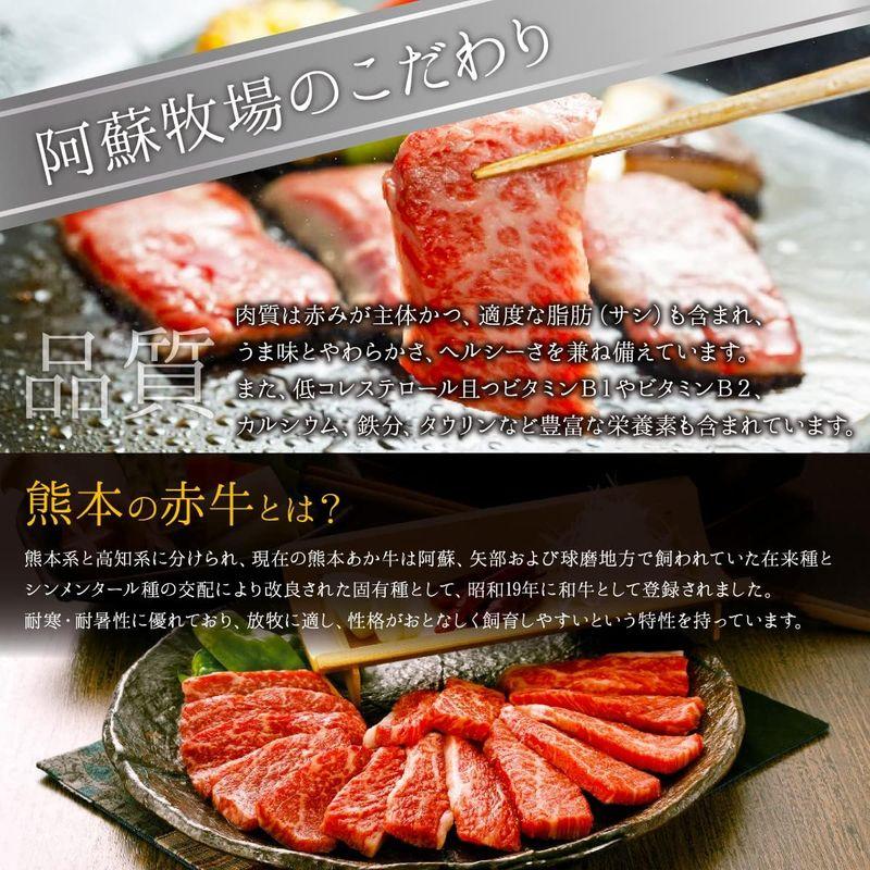 熊本県産 赤牛 焼肉 500g 和牛 国産 あかうし おまかせ 焼肉セット 牛肉 阿蘇牧場