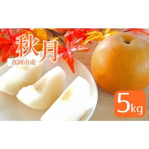 ふるさと納税 栃木県 真岡市 真岡市産 秋月 5kg 真岡市 栃木県 送料無料