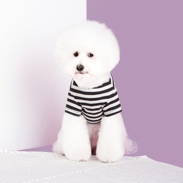 #bff 態度SloganT恤_灰黑條紋