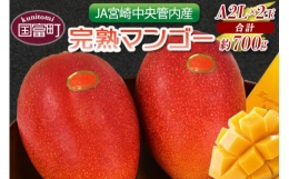 予約受付！数量限定！＜宮崎県産 完熟マンゴー A等級 2Lサイズ×2玉（合計約700g）＞2024年4月下旬～6月末迄に順次出荷