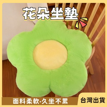 快速出貨🐲花朵抱枕坐墊 午睡枕 靠墊 超厚實久坐坐墊 增高坐墊 汽車坐墊花朵靠墊 屁墊 椅墊 座墊  椅子坐墊