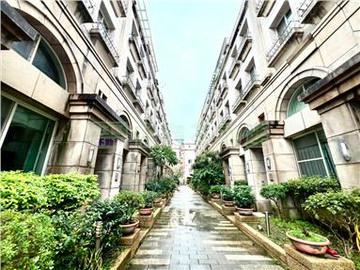 百川新歐洲稀有電梯別墅｜桃園市桃園區民有十三街