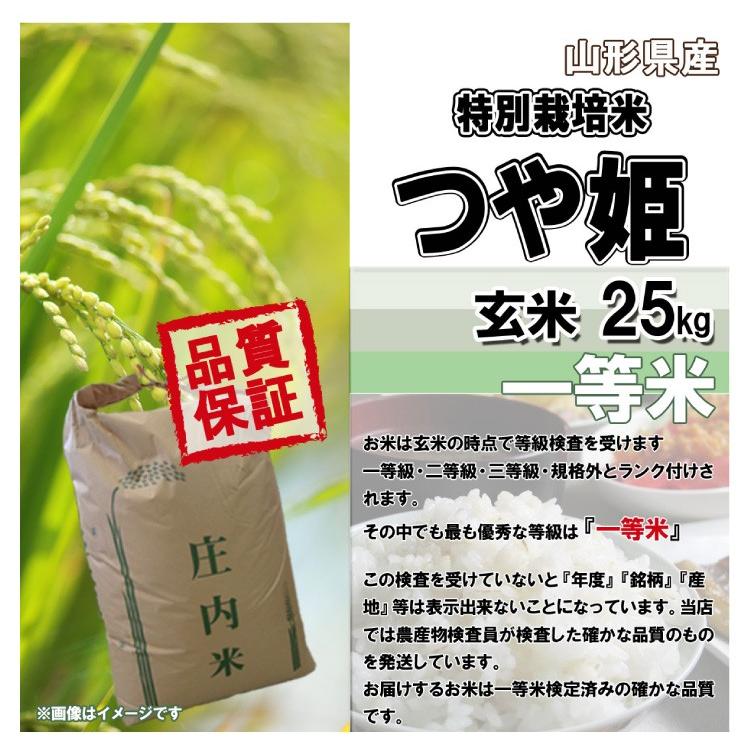 令和5年 山形県産 特別栽培米 つや姫 玄米 25kg(5kg×5)（送料無料）