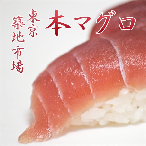 築地の本マグロ 約500g A品（中トロ・赤身）