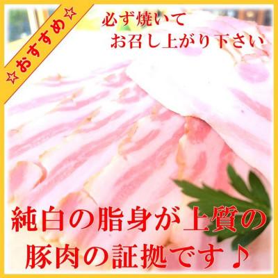 ふるさと納税 茅野市 腸詰屋のギフトセット