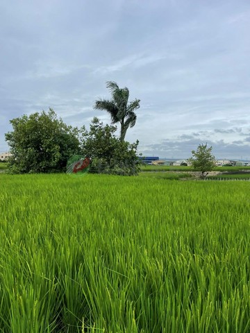 霧峰工業區旁千坪農地｜台中市霧峰區南勢東段