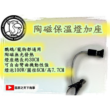 寵物保溫 鸚鵡保溫燈 加 陶瓷燈 鸚鵡 幼鳥保溫