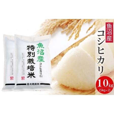 ふるさと納税 魚沼産コシヒカリ 特別栽培米10kg 新潟県認証米 令和5年産 新潟県