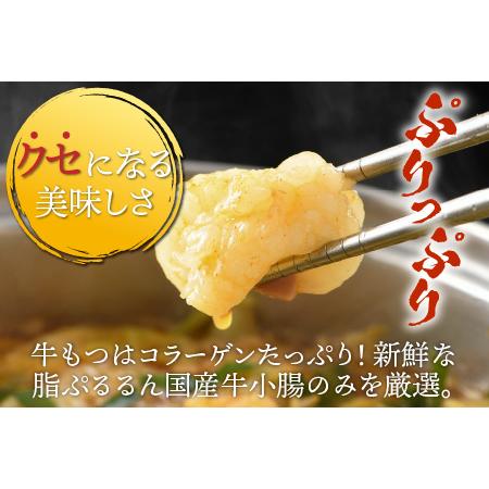 ふるさと納税 ぷるるんもつ鍋セット（約4〜5人前）越前のホルモン屋 国産牛 ／ 味噌 牛肉 モツ 小腸 ホルモン 冬 鍋 国産 国産牛 牛ホルモン .. 福井県あわら市