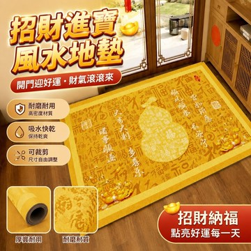 招財進寶💰💰黃色地墊 門口地墊 風水地墊 金色地墊 土黃色地毯 入戶門地墊風水好運地墊喜慶進門口地毯腳墊可裁剪