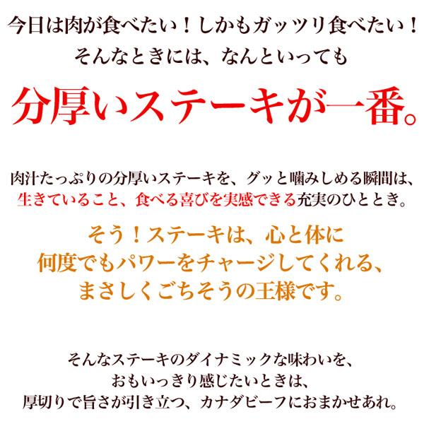 サーロイン ステーキ ステーキ肉 赤身 バーベキュー 熟成肉  夏ギフト 福袋 熟成・厚切りサーロインステーキ（約300g）×4枚セット 中元 帰省 土産