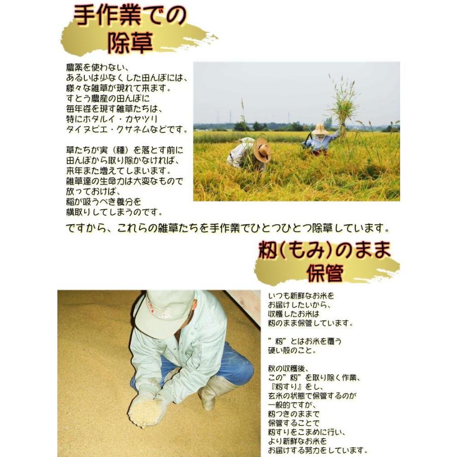 会津 合鴨農法 コシヒカリ 2kg 白米 令和4年産 こしひかり 新米 福島 お米 あいがも 送料無料 無農薬