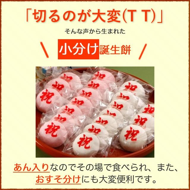 一升餅 小分け 誕生餅 「紅白あん餅　20個入り 」お祝い セット 　リュック付き