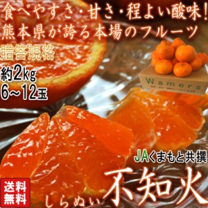 不知火 しらぬい 約2kg 6～12玉 熊本県産 贈答規格 JAくまもと 濃厚な甘さと程よい酸味の人気品種！本場で育てた抜群の味