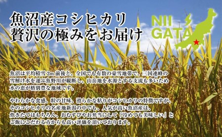 「無洗米」 新潟県 魚沼産 コシヒカリ お米 30kg こしひかり 精米 米（お米の美味しい炊き方ガイド付き）