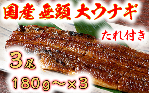 国産うなぎ　備長炭地焼き蒲焼き180g以上×3尾　タレ付き×3