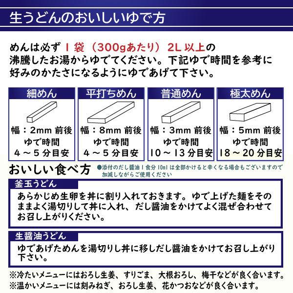 送料無料 3種から選べる 讃岐生うどん6食(300g×2袋) だし醤油付き うどん 讃岐うどん 香川 得トクセール ポイント消化 食品