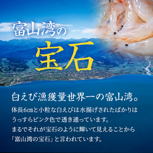 白えび 刺身 富山湾の宝石しろえび 100g×2個 200g セット 浜浦水産 おつまみ つまみ エビ お刺身 魚介 魚介類 海鮮