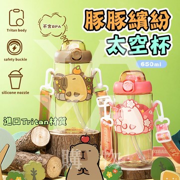 🔥台灣現貨 豚豚繽紛太空杯 吸管水壺 水豚水壺 水豚君水壺 水豚 水豚君 卡皮巴拉 水壺 水杯 太空水壺 耐高溫吸管水杯