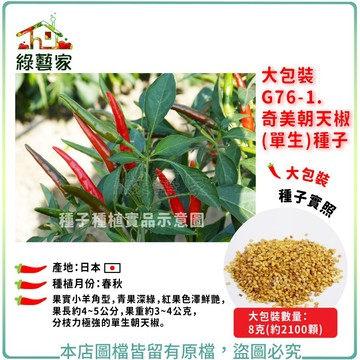【綠藝家】大包裝G76-1.奇美朝天椒(單生)種子8克(約2100顆)//果實小羊角型，青果深綠，紅果色澤