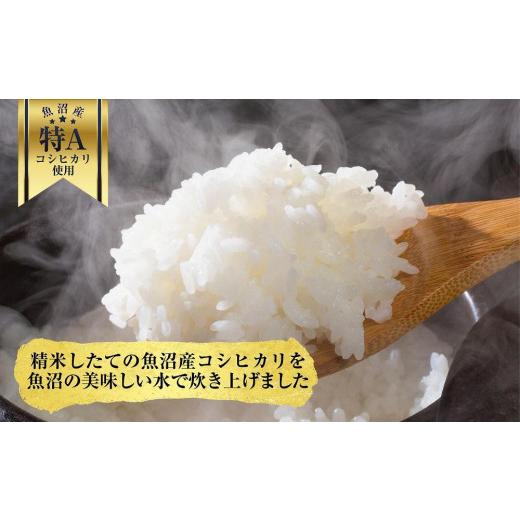 ふるさと納税 新潟県 十日町市 新潟県 魚沼産 備蓄 コシヒカリ ご飯 200g×30 パック ごはん レンジ 簡単 巣籠り 無添加