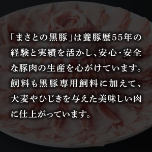 南九州産黒豚「手作り黒豚ギョーザセット」６パック