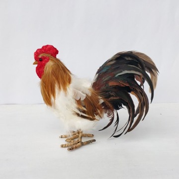 仿真假家禽動物雞鵝鴨裝飾工藝品農家樂田園擺件奇趣模型標本