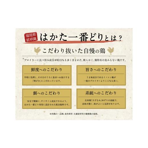 ふるさと納税 福岡県 古賀市 はかた一番どり水炊きセット2〜3人前（ふるさと納税限定セット）