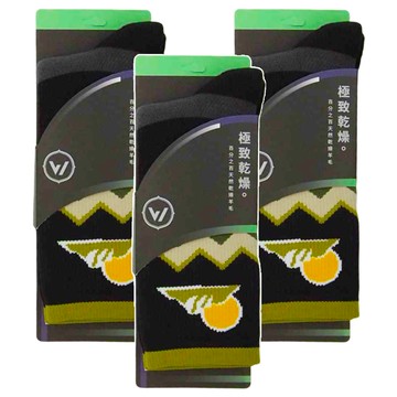 WOAWOA 極致速乾羊毛登山襪 Set 3雙  L(25~28cm)  日出玉山